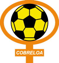 Team logo
